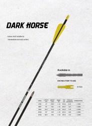 Стрела для лука карбоновая Dark Horse 600